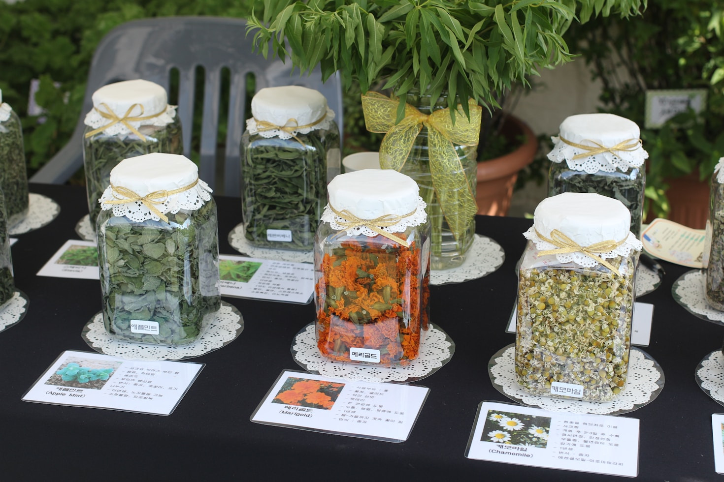 Top Sustainable Practices for Modern Communities