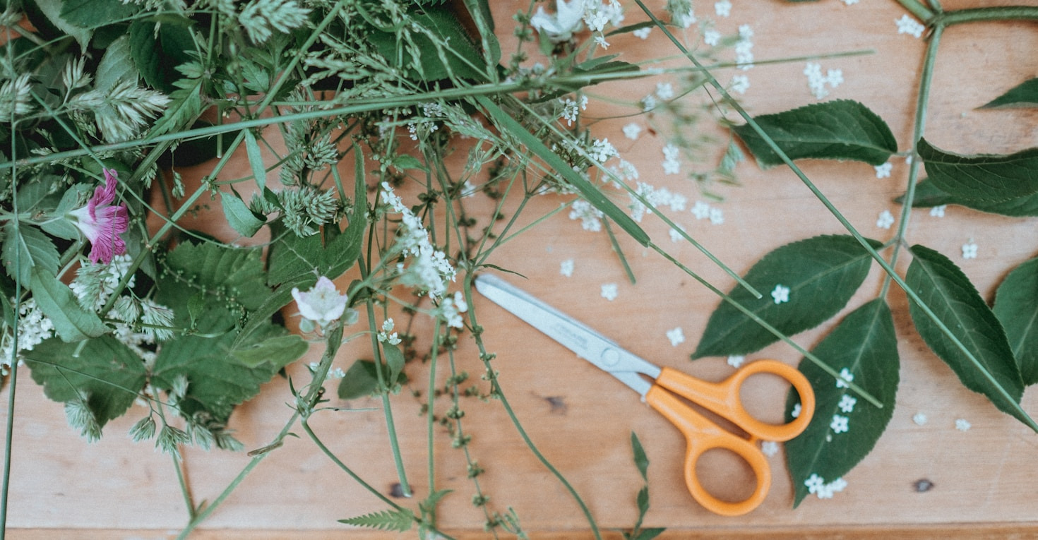 The Intersection of Tradition and Sustainability